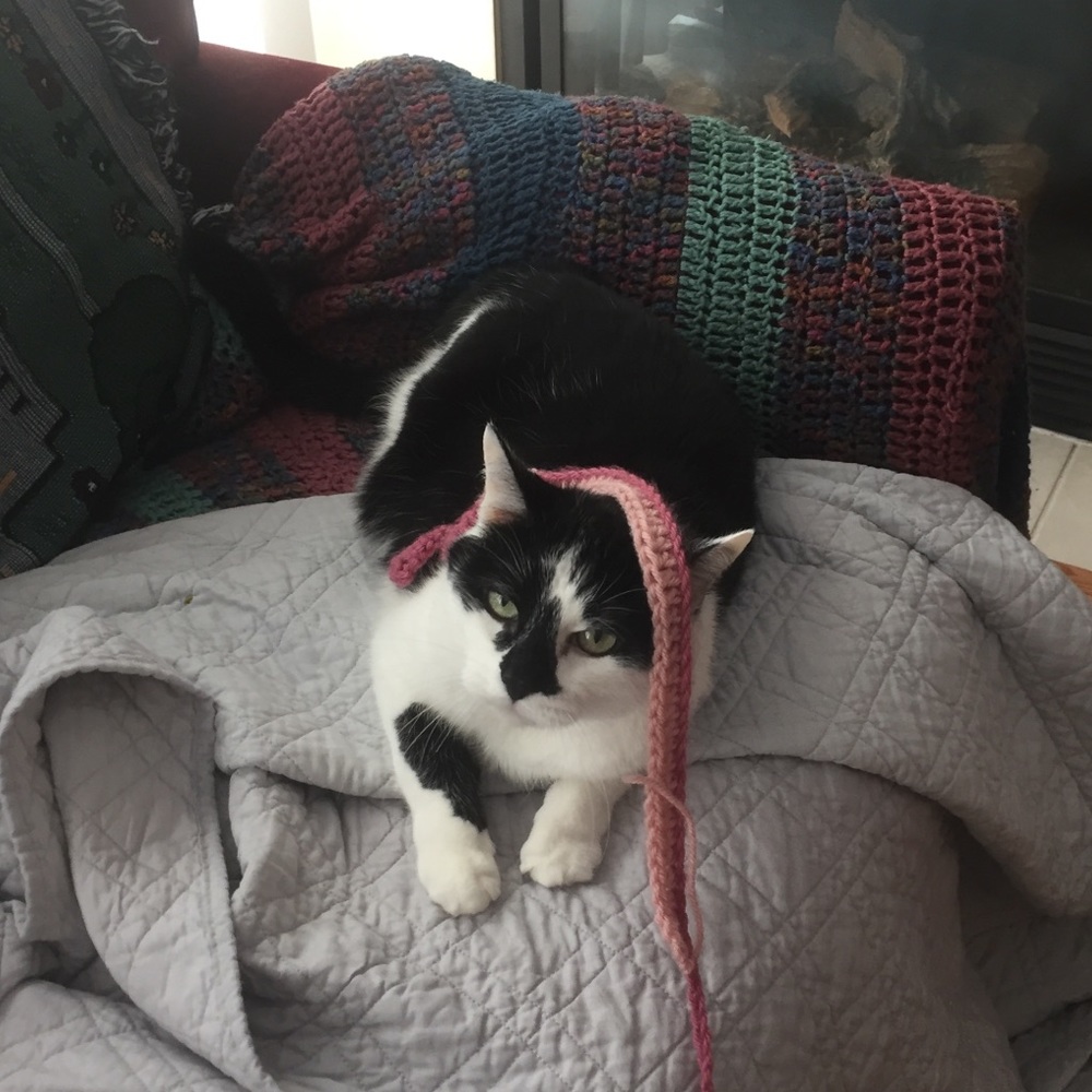 Meet your Posher, Mimosa